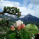 Alpenblick Hotel