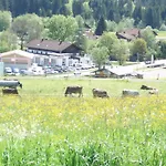 Alpenblick 3*