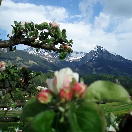Alpenblick ホテル
