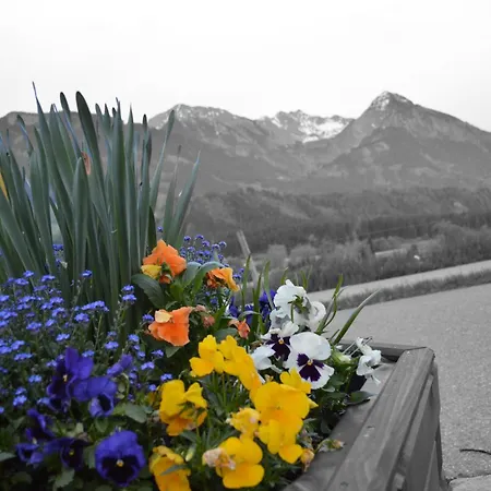 Hotel Alpenblick