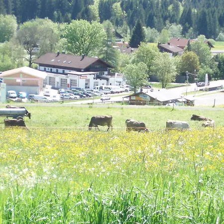 Alpenblick 3*