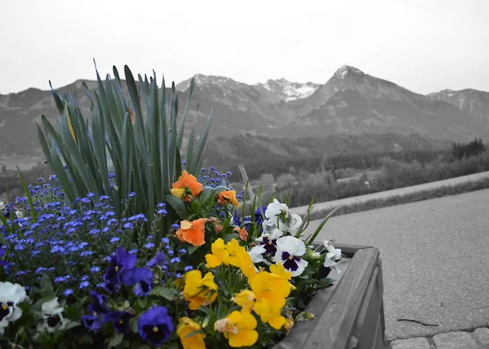 ホテル Alpenblick