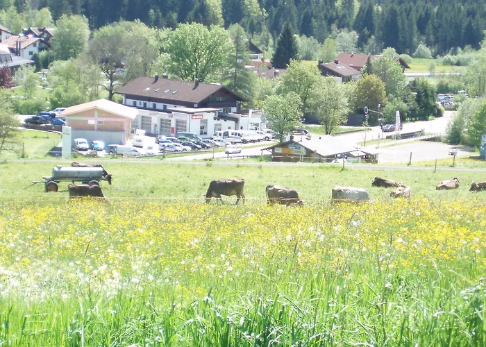 Alpenblick 3*