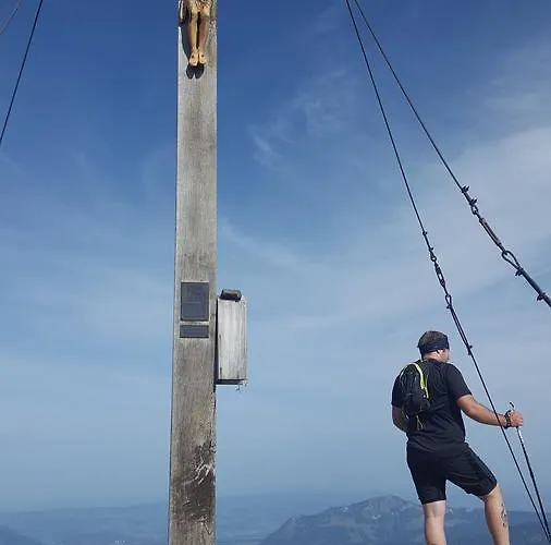 Alpenblick ホテル