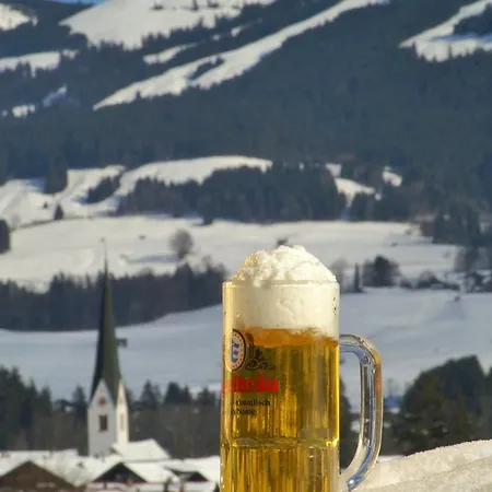 Alpenblick Fischen im Allgaeu