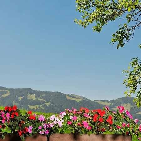 Alpenblick 3*