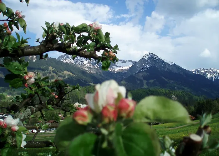 Alpenblick Hotel
