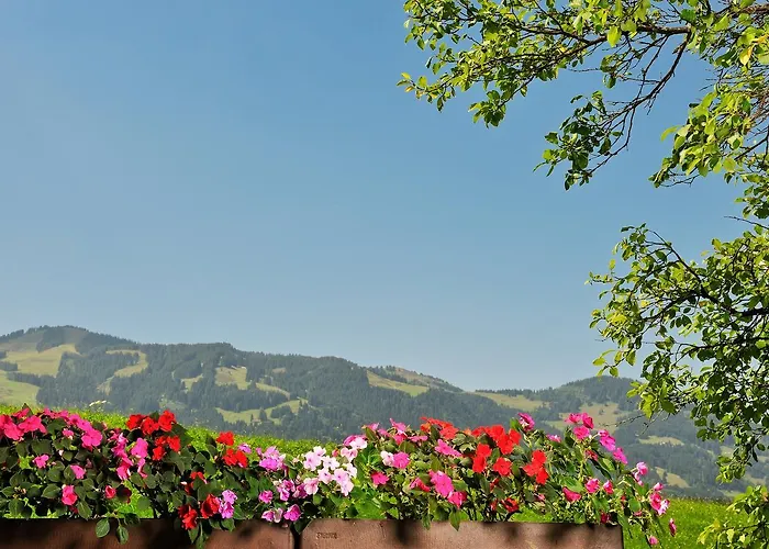 Alpenblick 3*